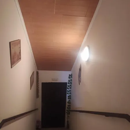 Drevenka Provodin