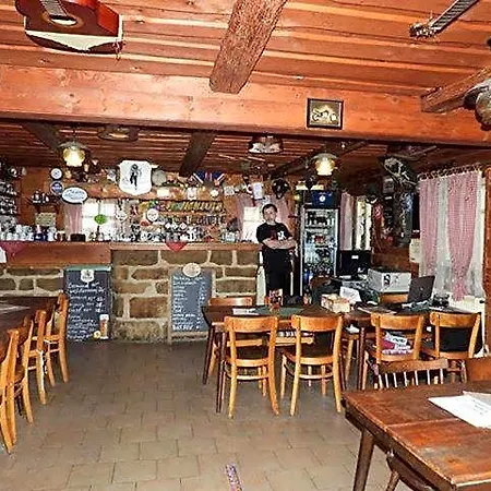 Drevenka Provodin