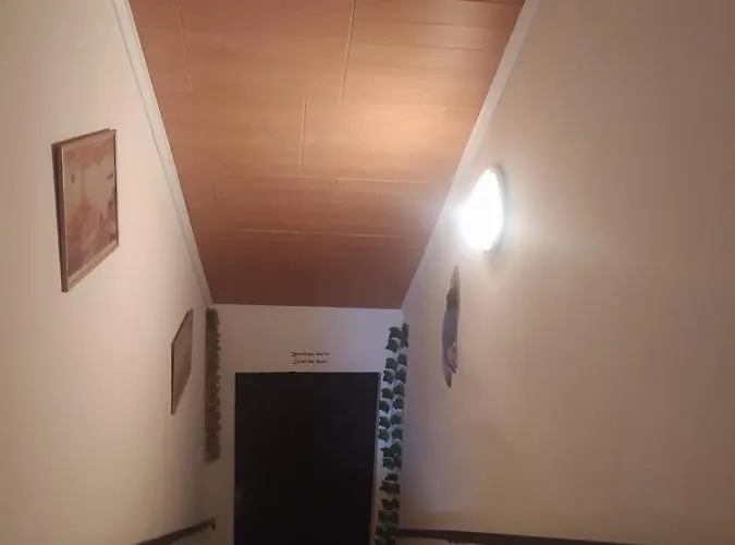 Drevenka Provodin